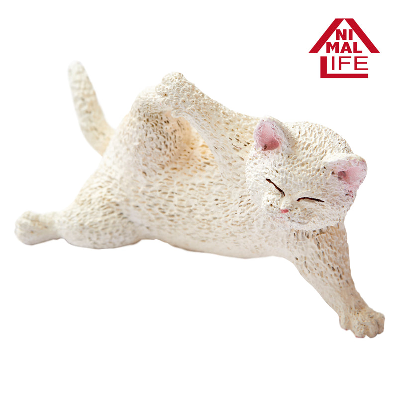 ANIMAL LIFE UNION CREATIVE Baby Yoga Cat (1 Random Blind Box)