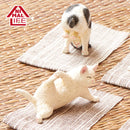 ANIMAL LIFE UNION CREATIVE Baby Yoga Cat (Box of 6 Blind Box)