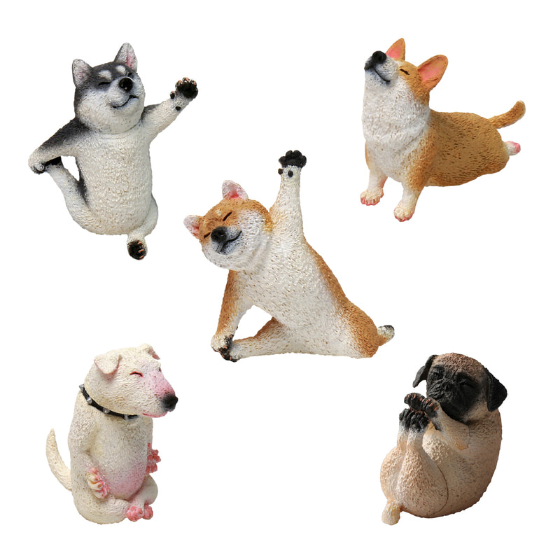 ANIMAL LIFE UNION CREATIVE Baby Yoga Dog (1 Random Blind Box)