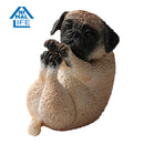 ANIMAL LIFE UNION CREATIVE Baby Yoga Dog (Box of 8 Blind Box)