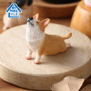 ANIMAL LIFE UNION CREATIVE Baby Yoga Dog (Box of 8 Blind Box)