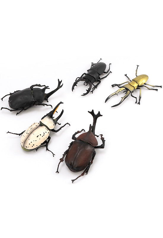 Beetle & Stag beetle Hunter F-toys confect Beetle & Stag beetle (Set of 10 Box)