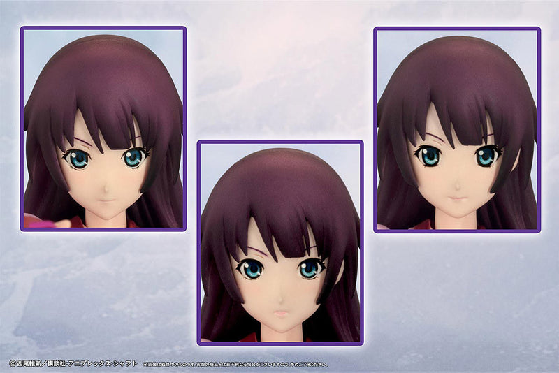 Bakemonogatari Griffon Enterprise Senjyogahara Hitagi