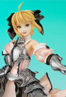 Fate/unlimited codes Gift Saber Lily