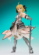 Fate/unlimited codes Gift Saber Lily