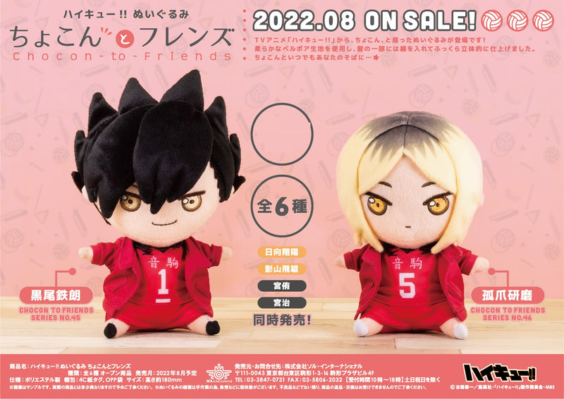 Haikyu!! Sol International Plush Chocon-to-Friends Kuroo Tetsuro