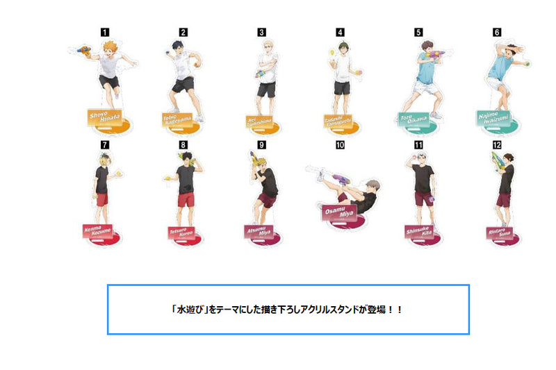 Haikyu!! To The Top Movic Acrylic Stand Hinata