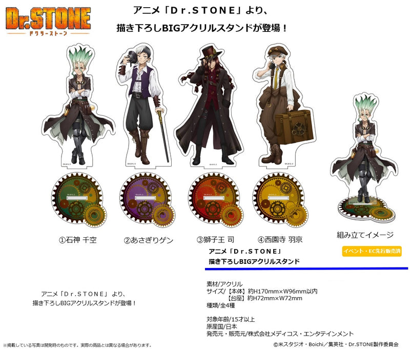 Dr. Stone Medicos Entertainment Original Illustration Big Acrylic Stand 1 Ishigami Senku