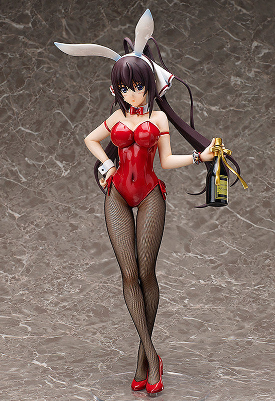 IS <Infinite Stratos> FREEing Houki Shinonono: Bunny Ver.