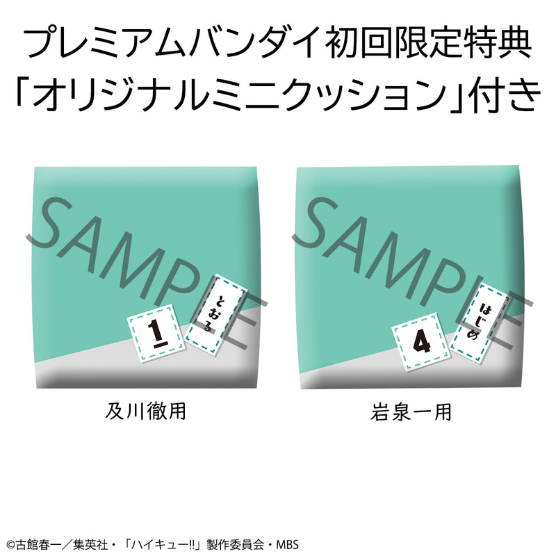 Haikyu!! MEGAHOUSE Look up Toru Oikawa ＆ Hajime Iwaizumi Set【with gift】