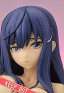 Fault!! Dragon Toy Maya Kamiwazumi PINK Ver 1/6 PVC Figure