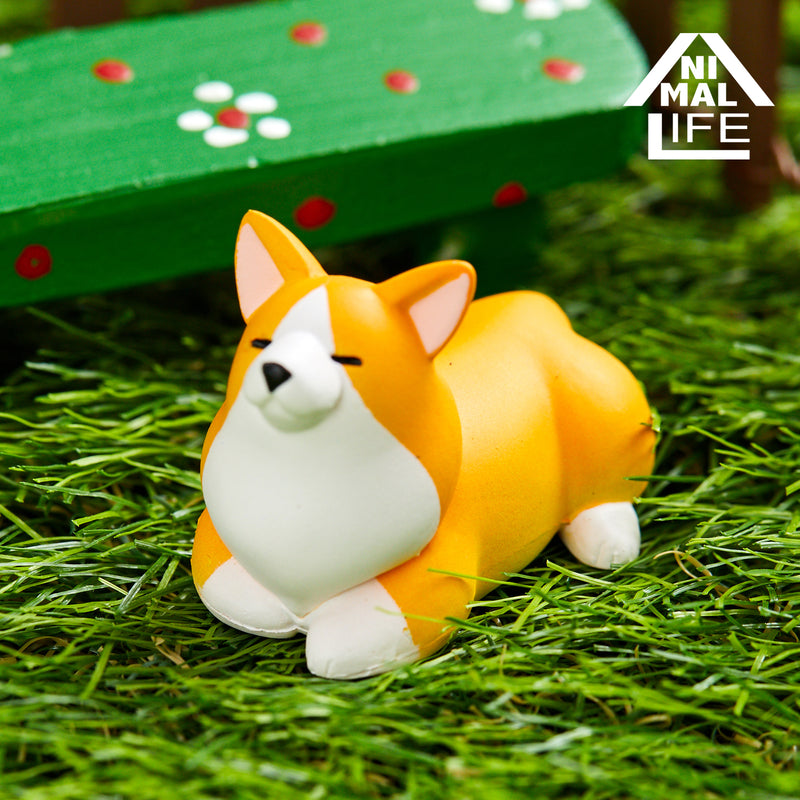 ANIMAL LIFE UNION CREATIVE The Daily Corgi (Box of 6 Blind Box)