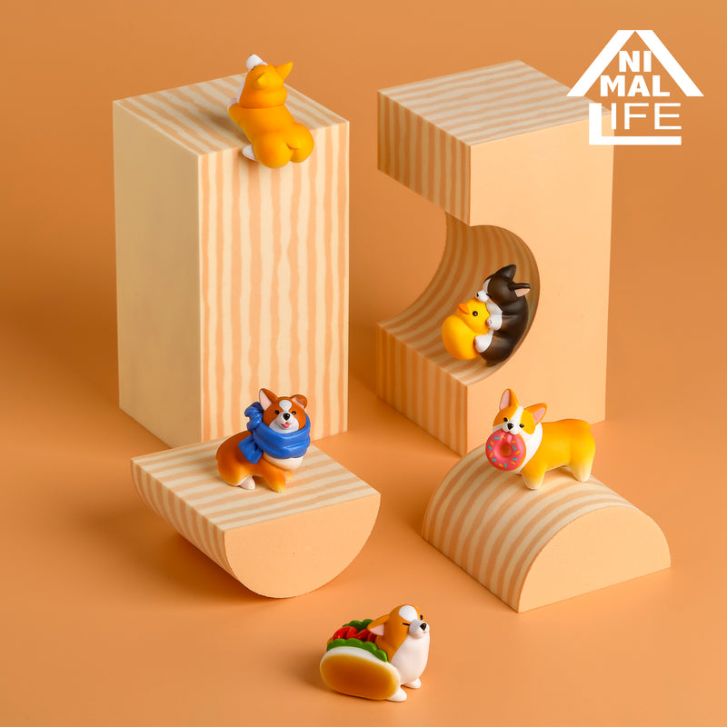 ANIMAL LIFE UNION CREATIVE The Daily Corgi (Box of 6 Blind Box)