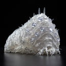 Nausicaä of the Valley of the Wind Oumu Kaiyodo Takeya's Free Figure CLEAR