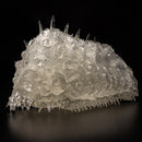 Nausicaä of the Valley of the Wind SEN-TI-NEL Takeya shiki Jizai okimono Ohmu (Small)[Mini] Clear Ver.