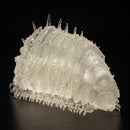 Nausicaä of the Valley of the Wind SEN-TI-NEL Takeya shiki Jizai okimono Ohmu (Small)[Mini] Clear Ver.