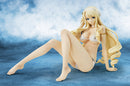 Bikini Warriors HOBBY JAPAN MEGAHOUSE Paladin