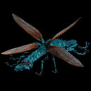 Nausicaä of the Valley of the Wind  Royal Yanma Kaiyodo Takeya's Free Figure