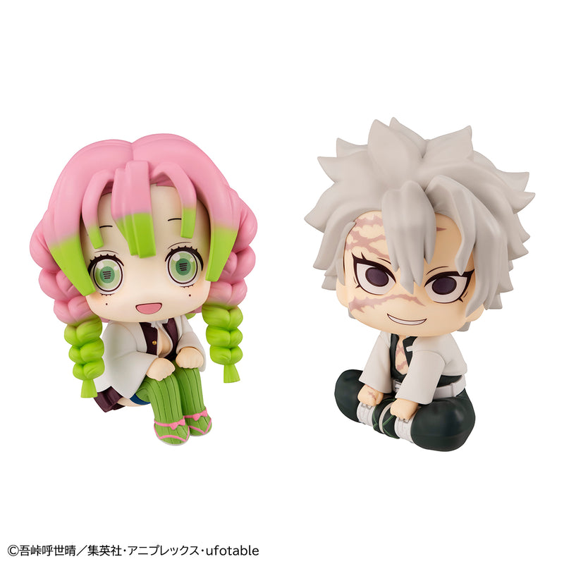 Demon Slayer Kimetsu no yaiba MEGAHOUSE Look up Kanroji Mitsuri & Shinazugawa Sanemi 【with gift】