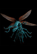 Nausicaä of the Valley of the Wind  Royal Yanma Kaiyodo Takeya's Free Figure